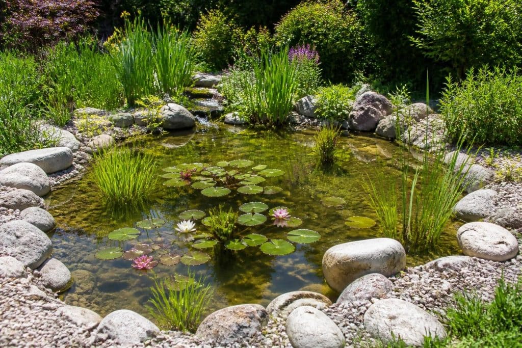 découvrez comment choisir et aménager un bassin pour plantes aquatiques afin de créer un point d’eau naturel et harmonieux dans votre jardin.