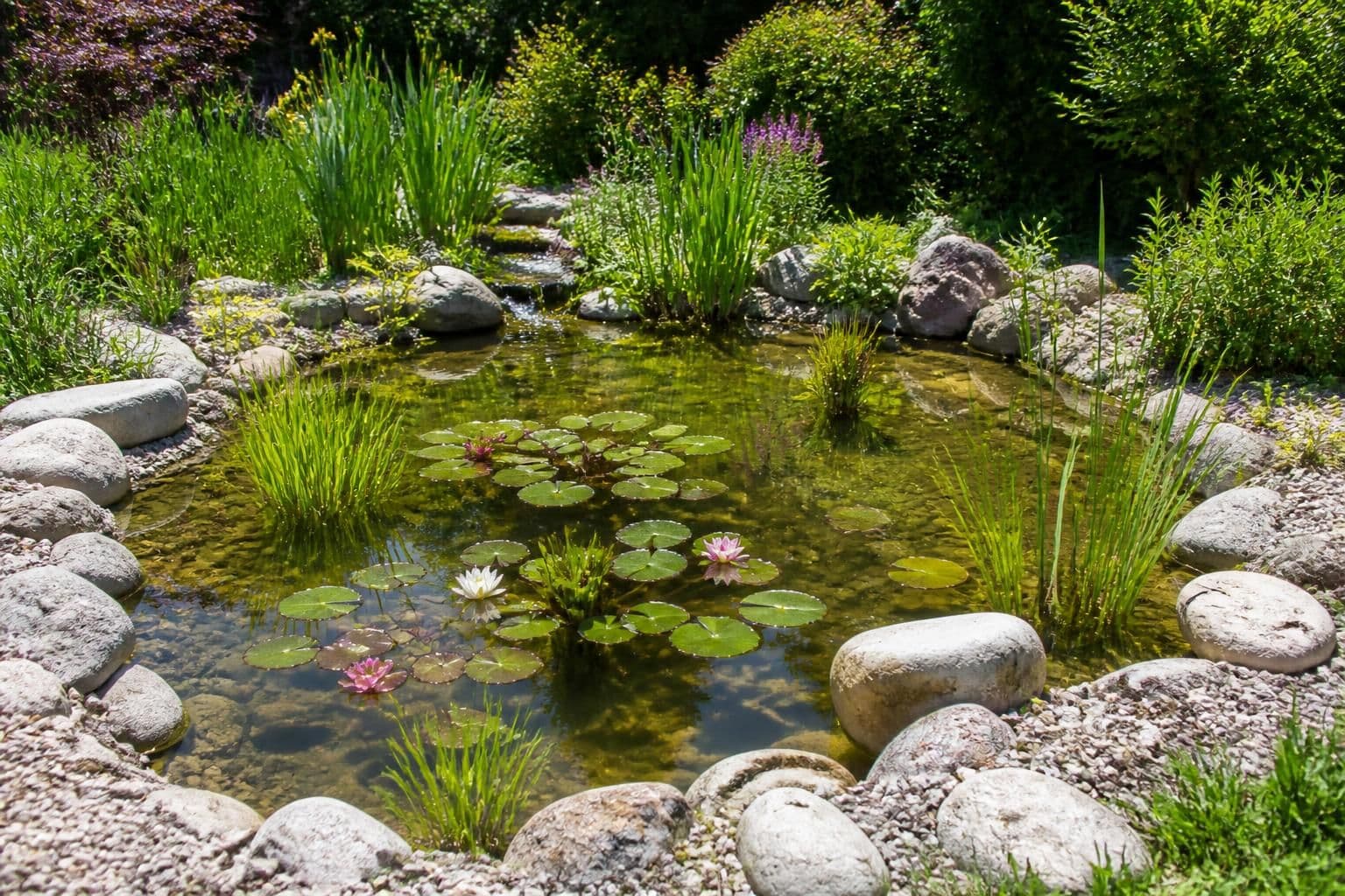 découvrez comment choisir et aménager un bassin pour plantes aquatiques afin de créer un point d’eau naturel et harmonieux dans votre jardin.